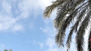 NATURE 118