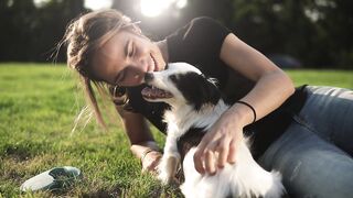 Cute dog