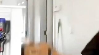 Funny video animal