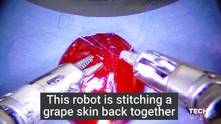 $1,600,000 Surgical Robot cuts open a grape and stitches it back together at a sharp accuracy.