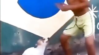 Funny video animal