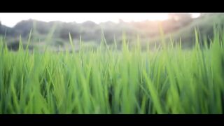 4K Nature Cinematography | Cinematic Background Music NO COPYRIGHT !!! NIKON D5300