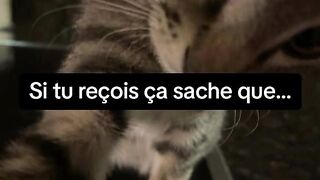 Taguer la personne #friend #lover