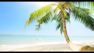 Beautiful 4K Nature Videos | Beautiful Sea Overlooking Suspension
