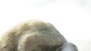 Hcxghxx