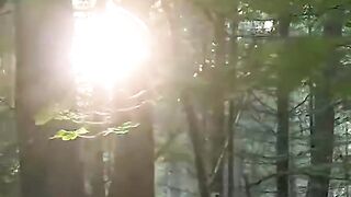 Reel video song