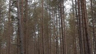 NATURE 138