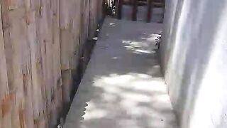 Delivery