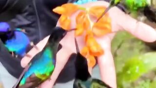 Beautiful birds????????#febspot