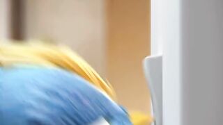 Birds cartoon ????????#febspot