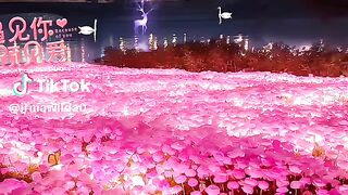 Sweet ???? song