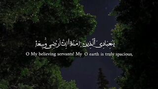 Quran # #quran #trending #viral #ytshorts #shorts #febspot #IslamicINFO