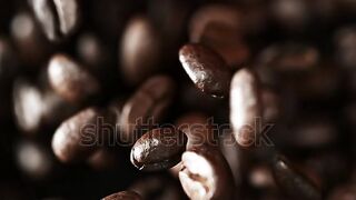 عشاق البن
