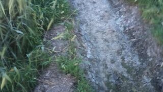 Today Video Beautiful View Punjab/