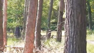 Short video song