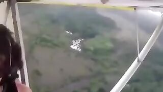 A Cat some How Sneaks onto an Airplane. No one Knows it was there.
