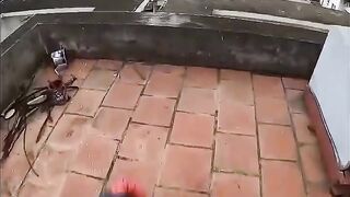Amazing spider man