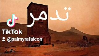 Palmyra