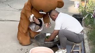 Quelle pastèque mangez-vous par une chaude journée, Pippi Bear Funny video