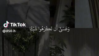 القران الكريم