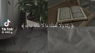القران الكريم