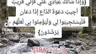 القران الكريم
