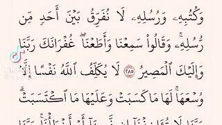 القران الكريم