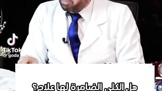 علاج الكلى الضامره