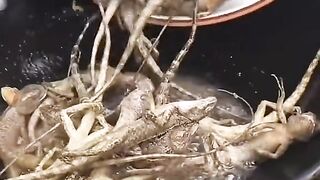 Sejauh ini,inii yang paling jauh