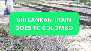 Catching the Stunning Train Ride from Veyangoda to Colombo - Traveling Sri Lanka