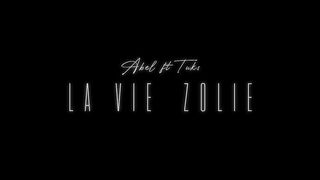 _La vie zolie