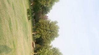 Beautiful