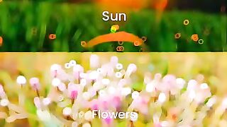 Beauty of natural