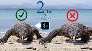 Two Useful Tips and Tricks for Photoshop