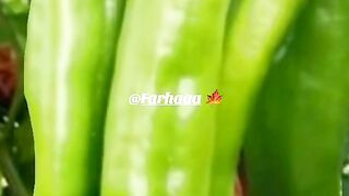 Sabz mirch ka faida in