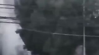 3000 year Old War