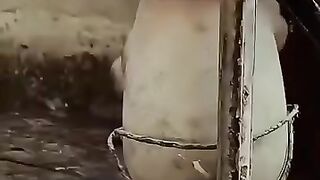 Old is gold