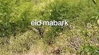 Eid Mubarak