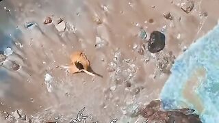 koi wada kr jao