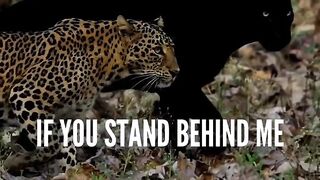 ATTITUDE MOTIVATION