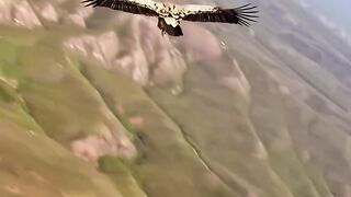 Neture gift