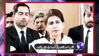 Rabia Bajwaa ki Establishment par kari tanqeed