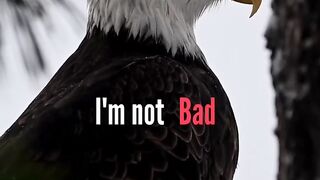 ATTITUDE MOTIVATION