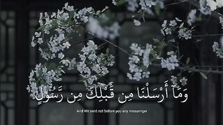 Quran translation and recitation