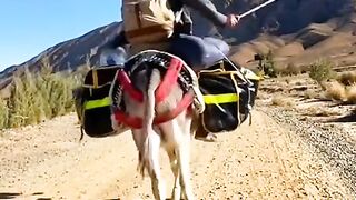 Funny video