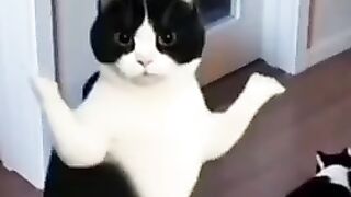 ياعيني