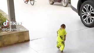 Funny baby monkey