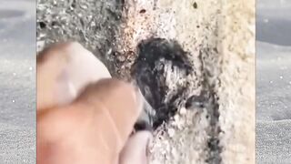 This person's drawing is really awesome, making everyone passing by fooled