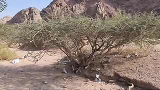 Wadi_Jinn_in_Madina_wadi_Jinn_ki_haqeeqat_Madina_wadi_Jinn_Wadi_e_Jinn_madina_Saudi_Arabia