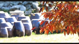 Natural and Soothing Part - 1